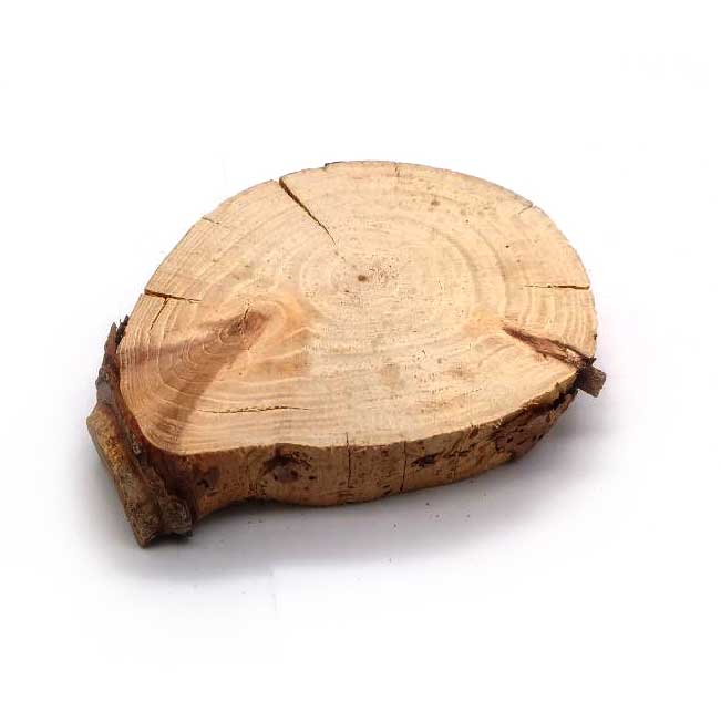 چوب کالباسی درخت کاج قطر 9 سانتی‌متر